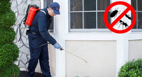 Atabey Karınca İlaçlama böcek ilaçlama ve haşere kontrolü — ilaclama-tr.com